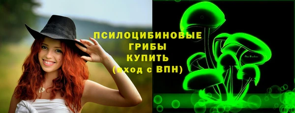 2c-b Вяземский