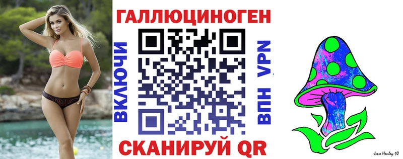 Псилоцибиновые грибы Cubensis  Можайск 