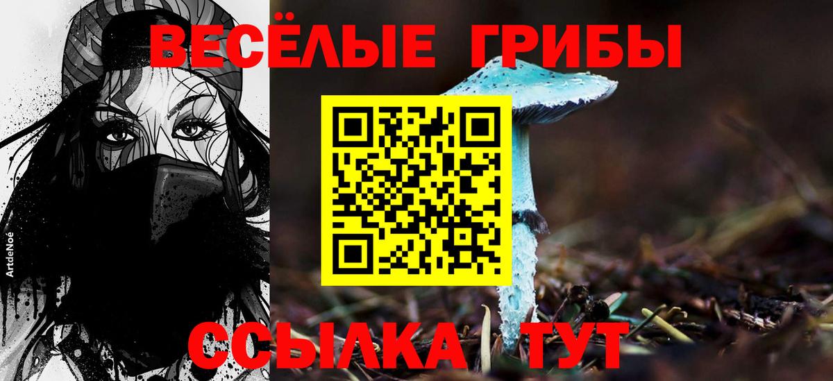 Псилоцибиновые грибы Psilocybine cubensis  Можайск 