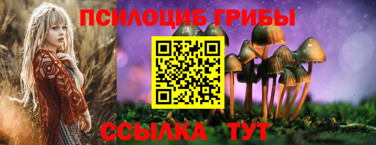 купить  цена  Галлюциногенные грибы Psilocybe  Вход с VPN  Можайск 