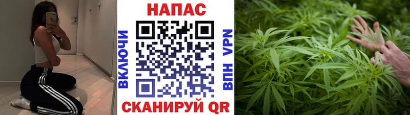 Канабис White Widow  mega ССЫЛКА  Можайск 